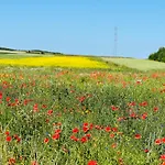 Dom Verte Z Ogrodem Na Jurze * Turów Celiny