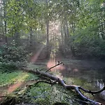 Dom Verte Z Ogrodem Na Jurze Dom wakacyjny