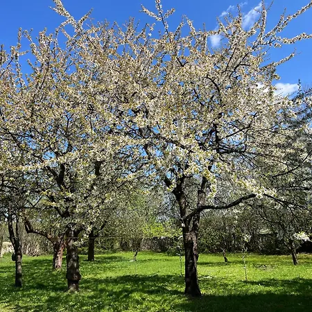 Dom Verte Z Ogrodem Na Jurze Turow Celiny